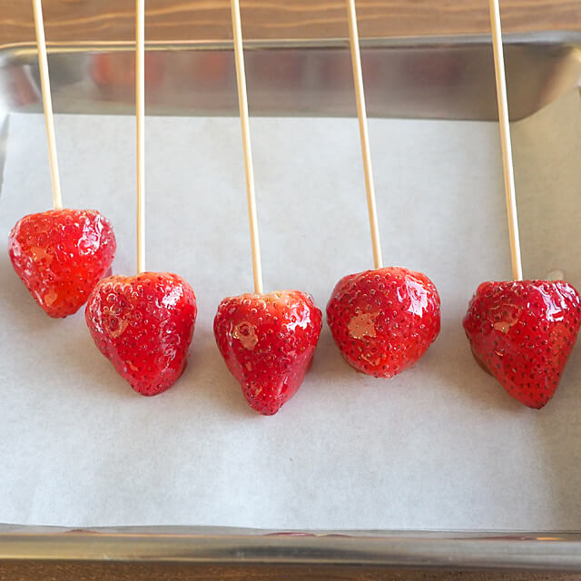 パラチニット18.5㎏　バラ売り対応可 パラチニット18.5㎏ バラ売り対応可