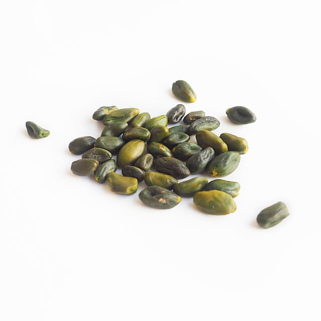 ピスタチオスーパーグリーンホール（生）20g｜プロフーズ オンライン