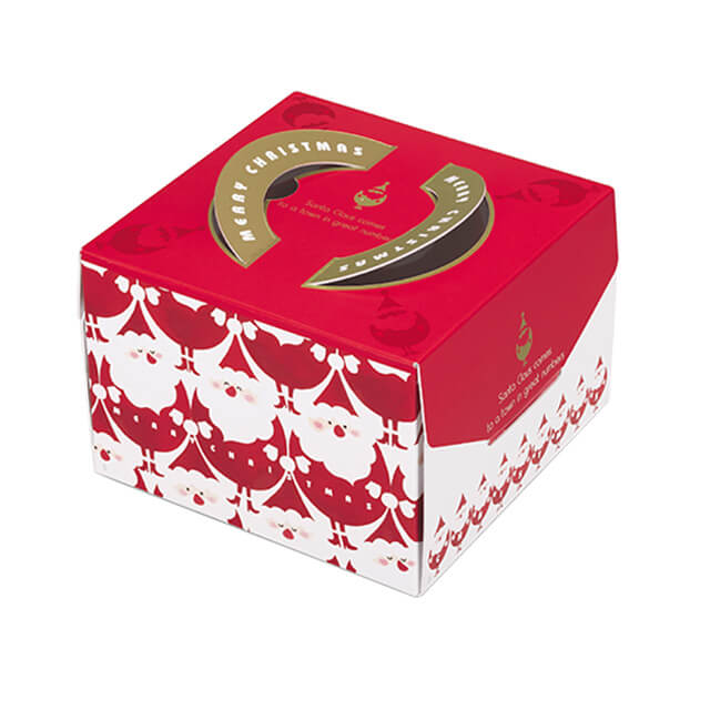 柳井 キャリーデコ メリーライン（135）5号 1枚