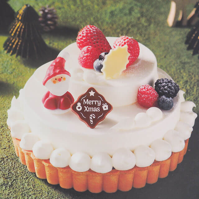 フェアリーサンタ（MX-30） 1個｜プロフーズ オンラインストア【公式通販】